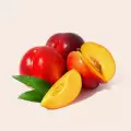 خواص میوه شلیل برای بدن
