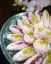 طرز تهیه شیرینی ساق عروس خوشمزه مازندرانی مرحله به مرحله