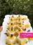 طرز تهیه ترحلوای شیرازی خوشمزه و مجلسی مرحله به مرحله