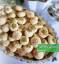 طرز تهیه شیرینی زنجبیلی ساده و خوشمزه و مجلسی بدون فر