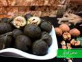 طرز تهیه ترشی گردو با پوست خوشمزه و مجلسی همدانی همراه با نکات