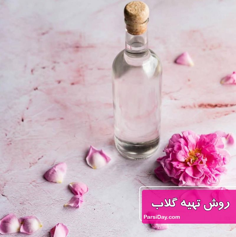 طرز تهیه گلاب خانگی عالی با گل محمدی بدون دستگاه گلاب گیر