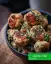 طرز تهیه کوفته بوقلمون خوشمزه و آسان مرحله به مرحله