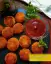 طرز تهیه کتلت جگر مرغ ساده و مقوی و خوش طعم با آرد گندم