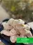 طرز تهیه قطاب گردویی در فر ساده و خانگی با ماست و کره