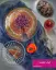 طرز تهیه کیک شعریه شیر عسلی عربی ساده و مجلسی با رشته شعریه