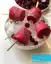 طرز تهیه اسکمو خانگی ساده و خوشمزه شمالی با آلبالو و آلو بدون قالب