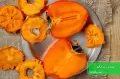 طرز تهیه چیپس خرمالو خشک روی بخاری، فر و سولاردم به همراه نحوه برش خرمالو