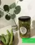 طرز تهیه ترشی خیار چنبر قزوین خوشمزه و عالی با شوید و تمر هندی