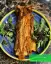 طرز تهیه خوراک گردن گوسفندی لذیذ و مجلسی به روش رستورانی