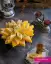 طرز تهیه کیک باقلوا شربتی بدون ماست شیک و خوشمزه با فر و بدون فر