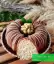 طرز تهیه کیک توت سفید خیلی خوشمزه و ساده با فر و بدون فر