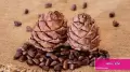 خواص و فواید عجیب چلغوز در طب سنتی و زنان باردار + طریقه مصرف چلغوز