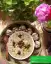 طرز تهیه آش دوغ مازندرانی خوشمزه و ساده با برنج به روش اصلی