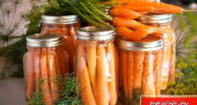 روش نگهداری هویج در یخچال و فریزر برای مدت طولانی بدون خراب شدن با روشی ساده