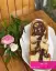 طرز تهیه کیک لوف با پف زیاد و بافت پنبه ای مناسب عصرانه و صبحانه