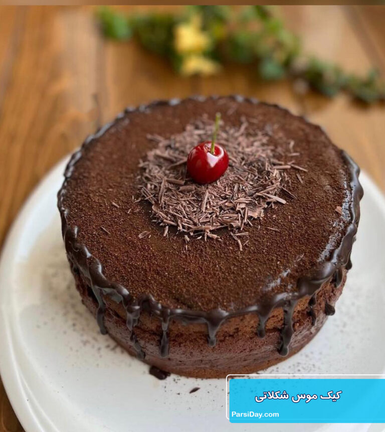 طرز تهیه کیک موس شکلاتی برای تولد و مهمانی گاناش شکلاتی