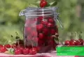 طرز تهیه ترشی آلبالو بدون سرکه ساده و سریع در 1 روز با ماندگاری بالا