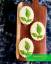 طرز تهیه شیرینی نعنایی مخصوص و خوش طعم با تزیین پسته