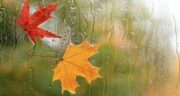 متن اولین باران پاییزی زیبا و دلنشین برای استوری + عکس