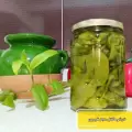 طرز تهیه ترشی فلفل سبز قلمی شیرین فوق العاده ساده و ارزان قیمت