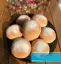 طرز تهیه نان مینی برگر خانگی نرم و پف دار + فوت و فن های مهم