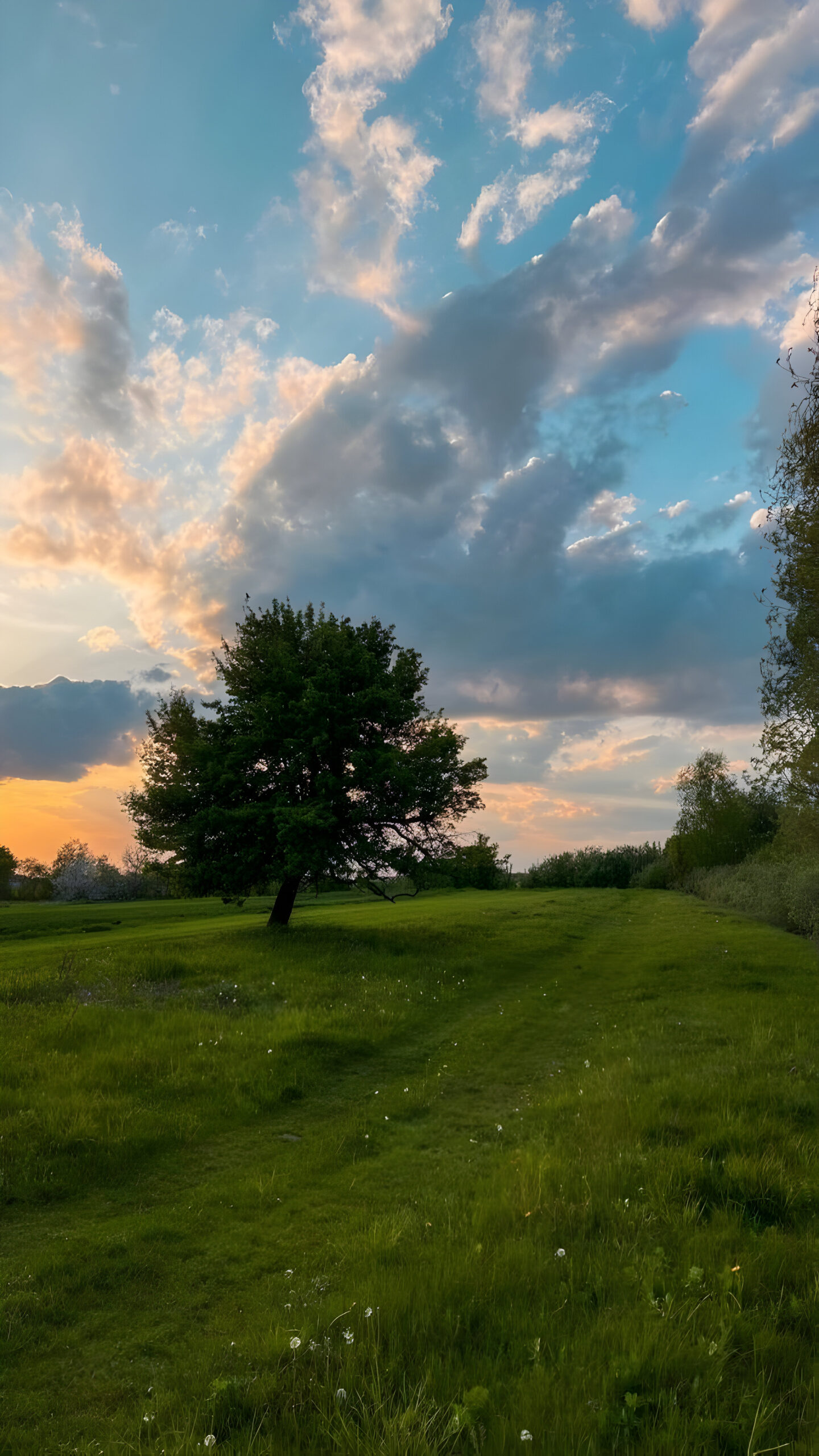 تصویر زمینه طبیعت سه بعدی