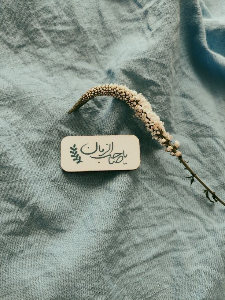 تبریک تولد حضرت مهدی (عج)