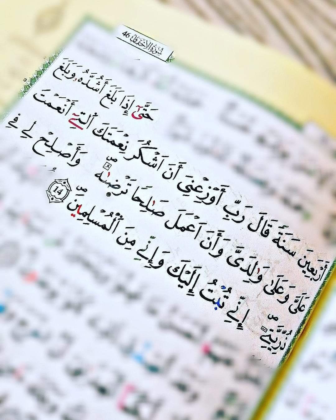 استخاره با قران کریم