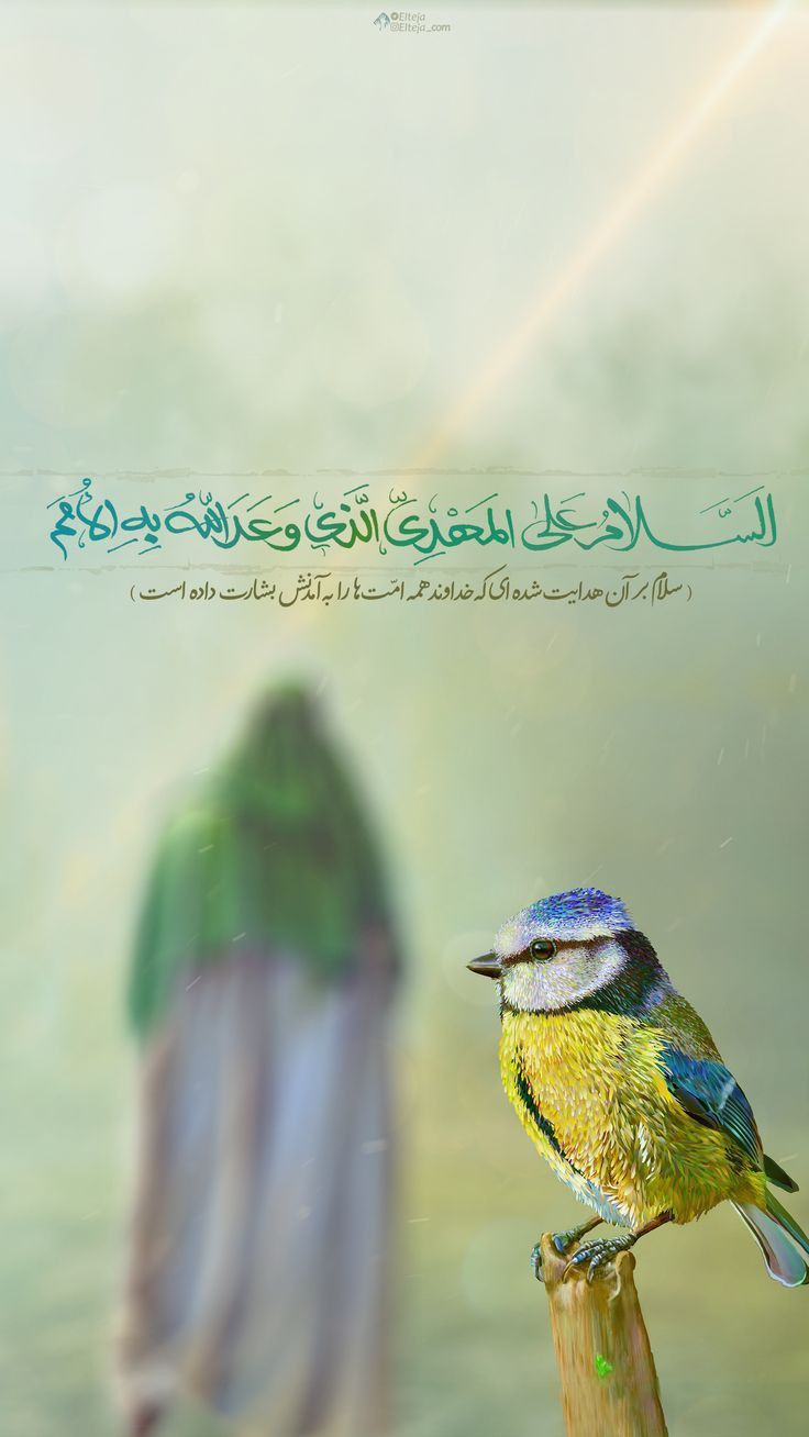 عکس نوشته ولادت امام زمان عج
