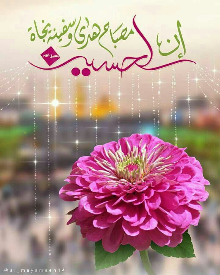 پروفایل ولادت امام حسین