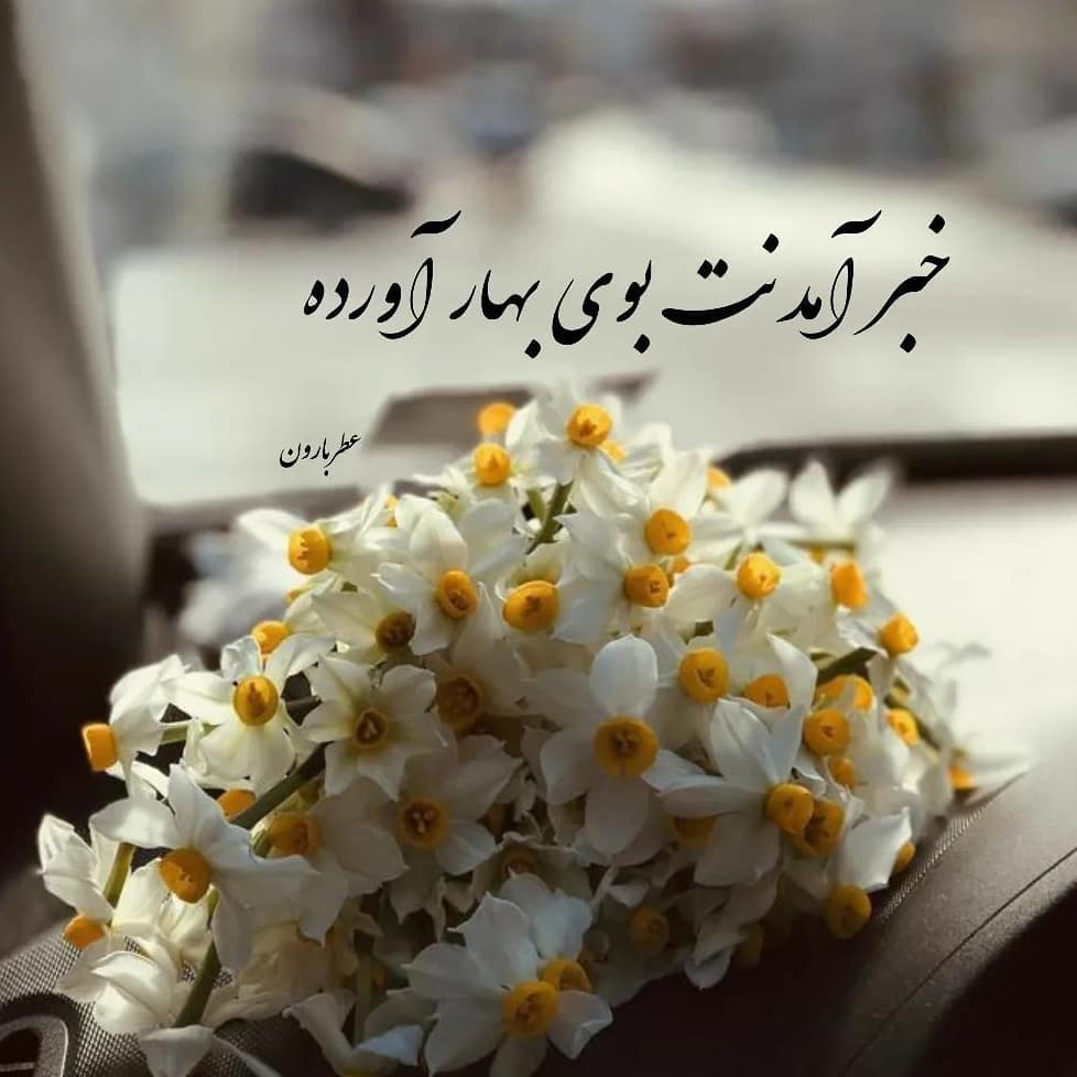 عکس نوشته ولادت امام مهدی