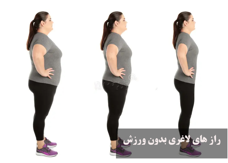 رازهای لاغری بدون ورزش که متخصصان تغذیه فاش کردند