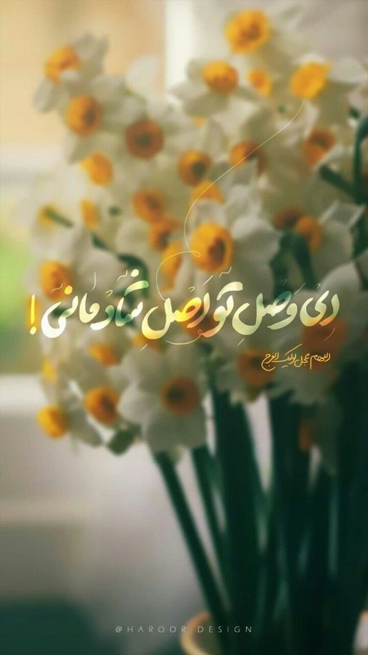 نیمه شعبان عکس پروفایل
