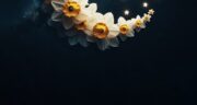 عکس ماه رمضان مبارک 1404 برای پروفایل و استوری زیبا و جدید