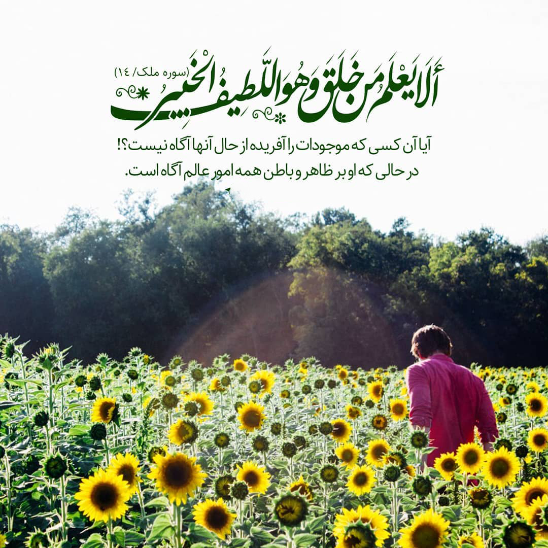 سوره ملک صوتی وَ متن