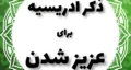 ذکر ادریسیه چیست؟ متن و خواص ذکر ادریسیه برای عزیز شدن، ازدواج، ثروت و شفای مریض + صوتی