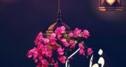 عید فطر 1403-1404 چندومه؟ چند شنبه است؟ عید فطر کیه؟ به میلادی، شمسی و قمری