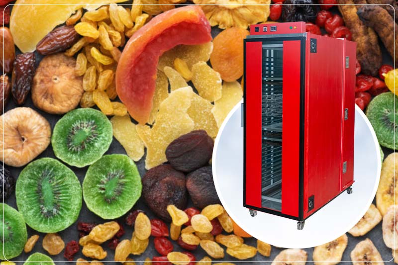 چگونه با میوه های اضافی و دستگاه میوه خشک کن یک کسب و کار منحصر به فرد راه اندازی کنیم ؟ 