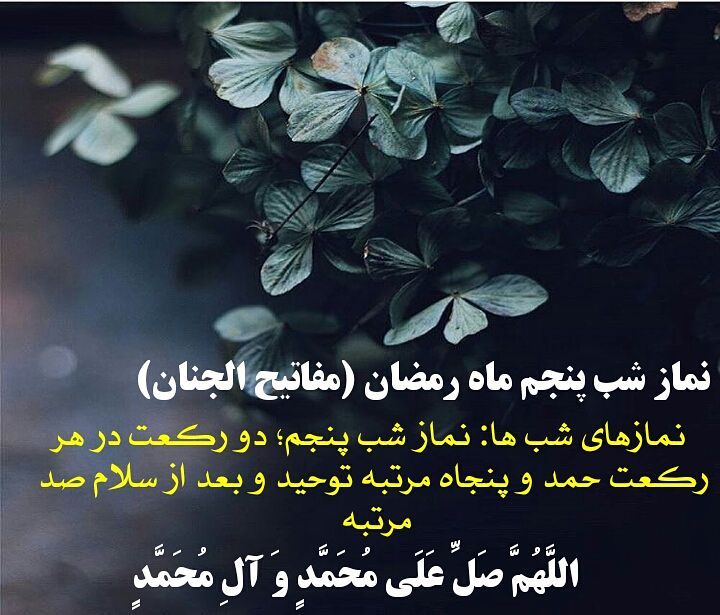 نماز شب پنجم ماه رمضان