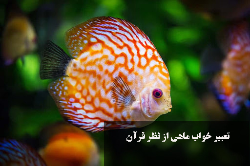 تعبیر خواب ماهی 