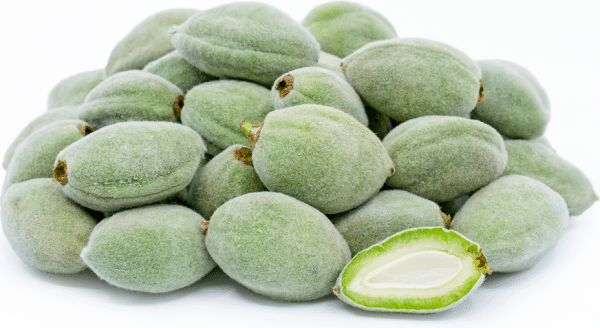 خواص چغاله