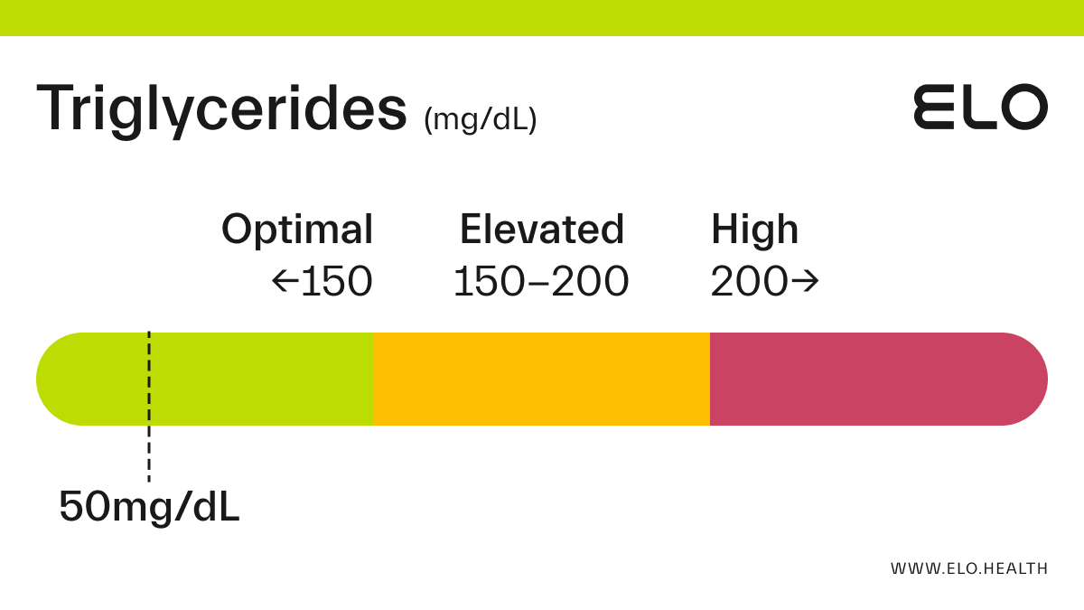 triglycerides چیست