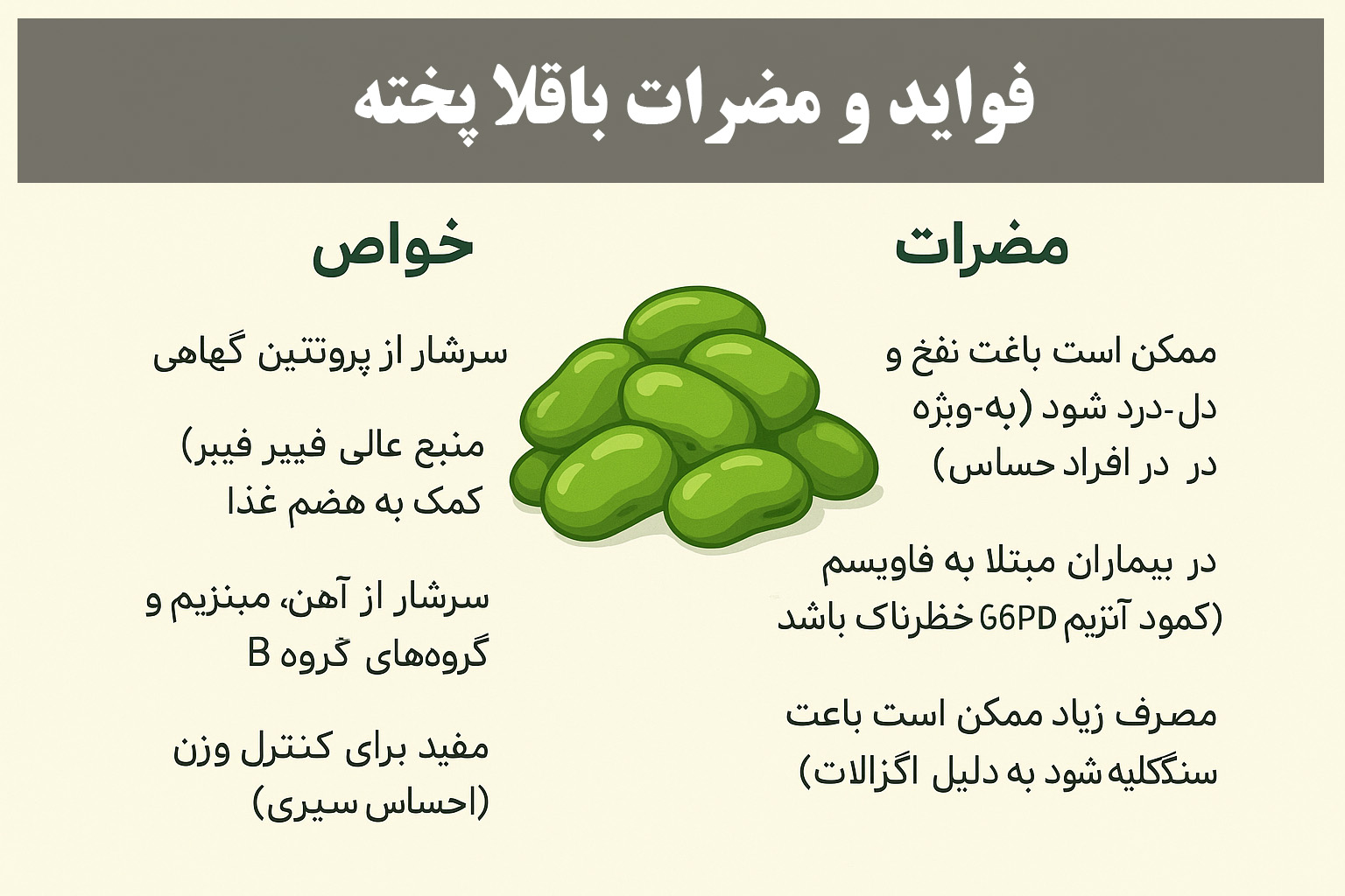 فواید و مضرات باقلا پخته