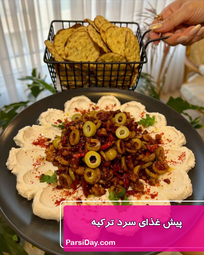 پیش غذای سرد ترکیه