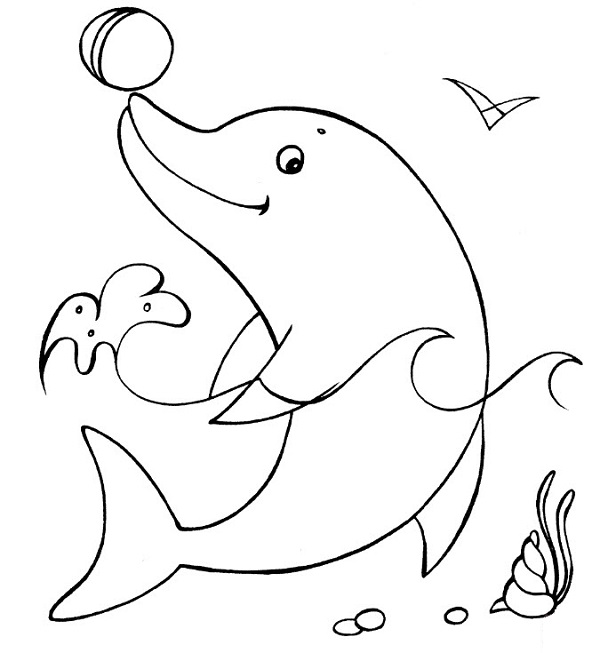 نقاشی پسر دلفینی