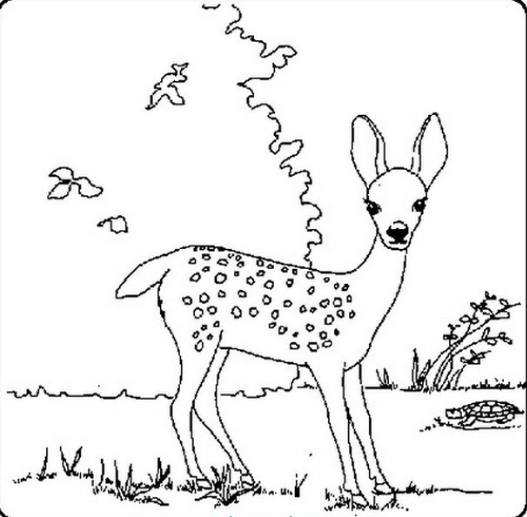 نقاشی برای تولد امام رضا و آهو
