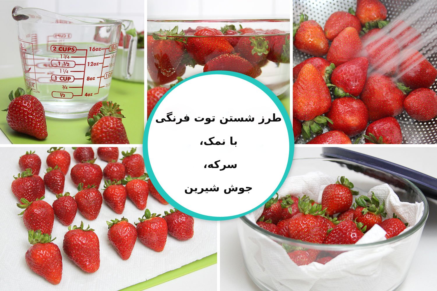 طرز شستن توت فرنگی با نمک، سرکه، جوش شیرین و مایع ظرفشویی + آیا توت فرنگی کرم دارد؟
