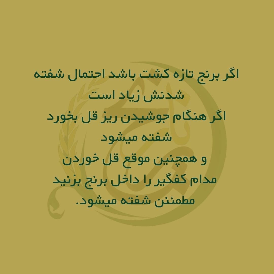 برنجم شفته شده چیکار کنم