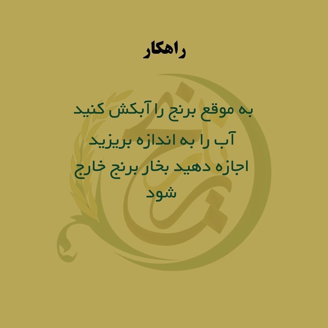 برنجم شفته شده چیکار کنم